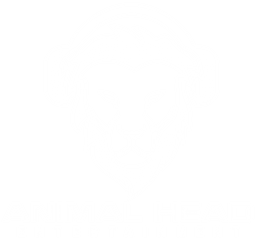 Animal Head Entertainment